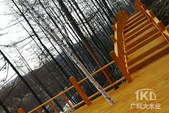 防腐木栈道.jpg